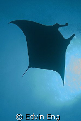 The Stealth! Taken in Maldives with Canon G9. by Edvin Eng 